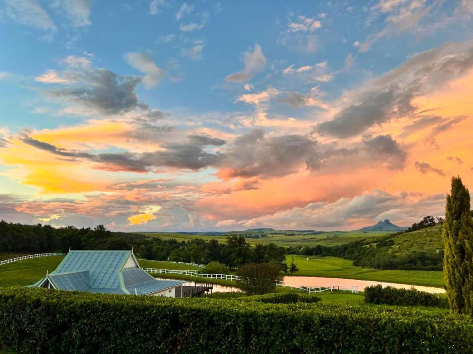 Oaklands Farm Stay Van Reenen Экстерьер фото