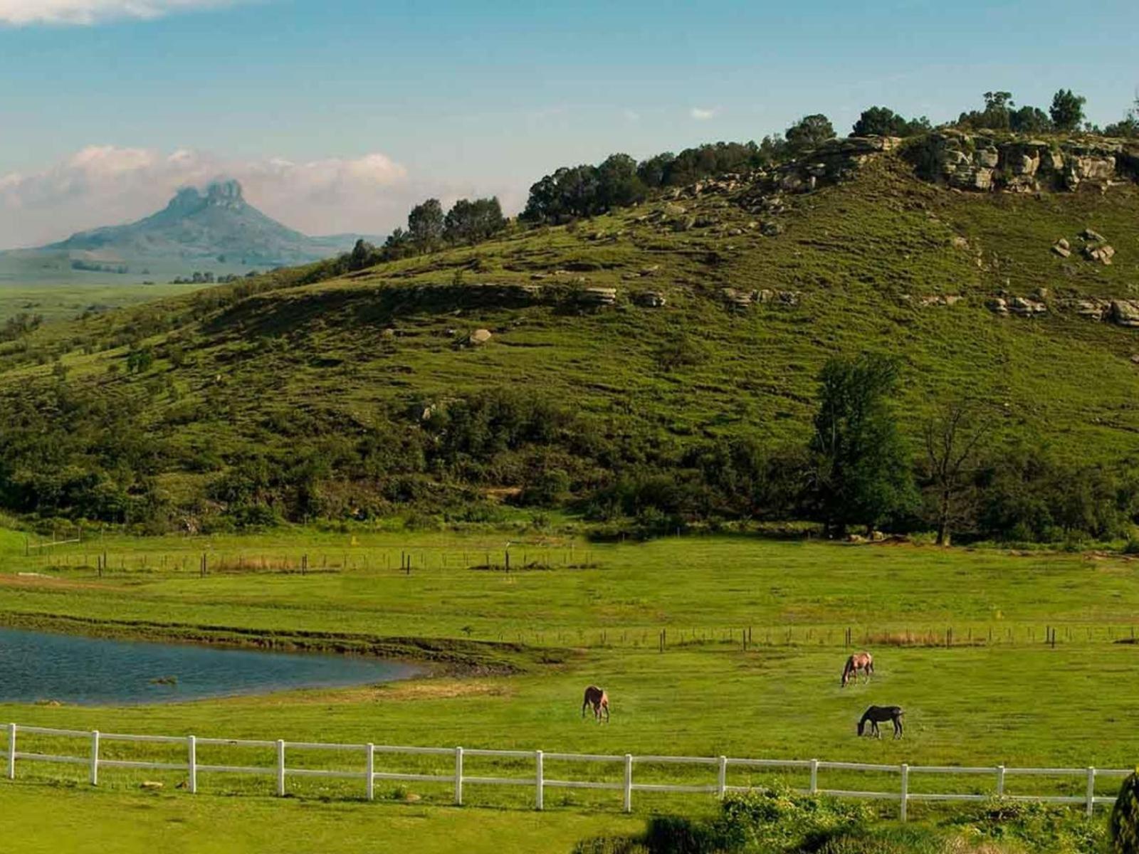 Oaklands Farm Stay Van Reenen Экстерьер фото